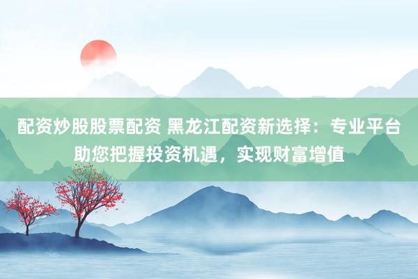 配资炒股股票配资 黑龙江配资新选择：专业平台助您把握投资机遇，实现财富增值