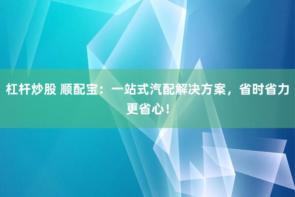 杠杆炒股 顺配宝：一站式汽配解决方案，省时省力更省心！