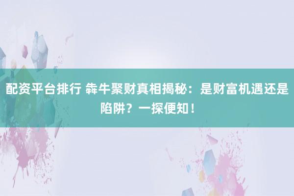 配资平台排行 犇牛聚财真相揭秘：是财富机遇还是陷阱？一探便知！
