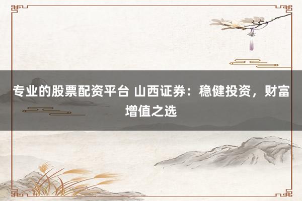 专业的股票配资平台 山西证券：稳健投资，财富增值之选
