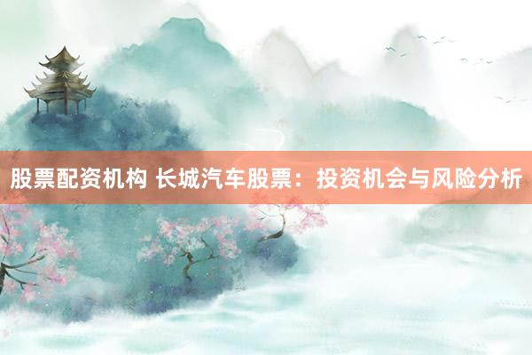 股票配资机构 长城汽车股票：投资机会与风险分析