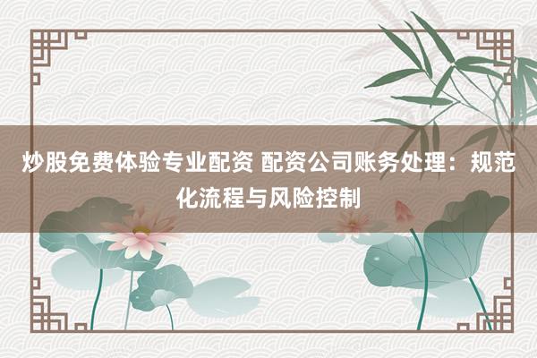 炒股免费体验专业配资 配资公司账务处理：规范化流程与风险控制