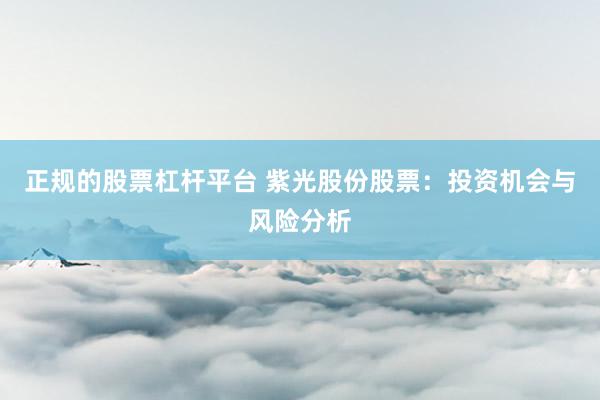 正规的股票杠杆平台 紫光股份股票：投资机会与风险分析