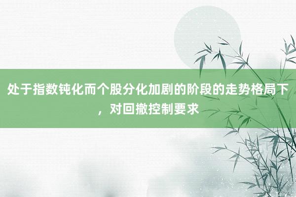 处于指数钝化而个股分化加剧的阶段的走势格局下，对回撤控制要求