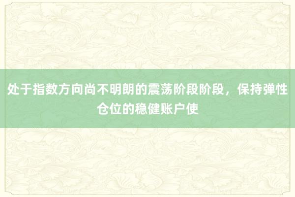 处于指数方向尚不明朗的震荡阶段阶段，保持弹性仓位的稳健账户使