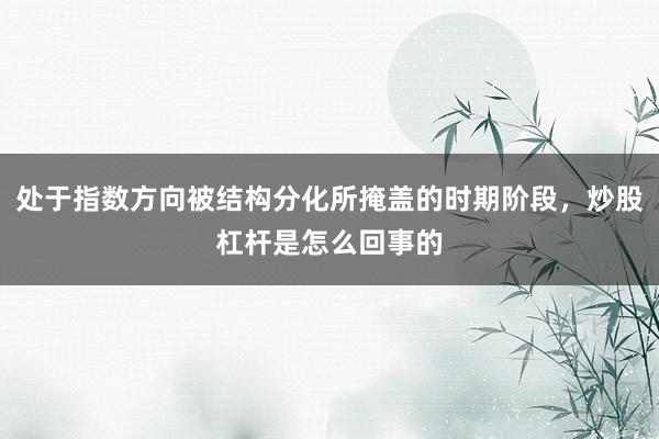 处于指数方向被结构分化所掩盖的时期阶段，炒股杠杆是怎么回事的