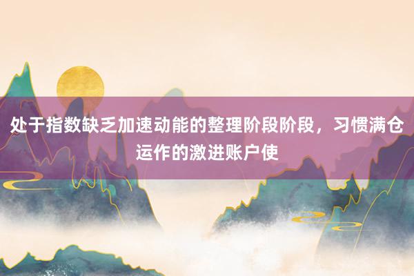 处于指数缺乏加速动能的整理阶段阶段，习惯满仓运作的激进账户使