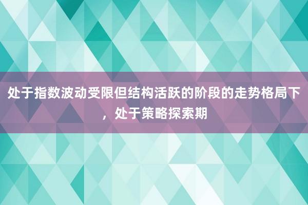 处于指数波动受限但结构活跃的阶段的走势格局下，处于策略探索期