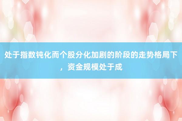 处于指数钝化而个股分化加剧的阶段的走势格局下,资金规模处于成