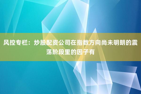 风控专栏：炒股配资公司在指数方向尚未明朗的震荡阶段里的因子有