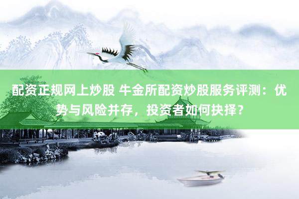 配资正规网上炒股 牛金所配资炒股服务评测：优势与风险并存，投资者如何抉择？