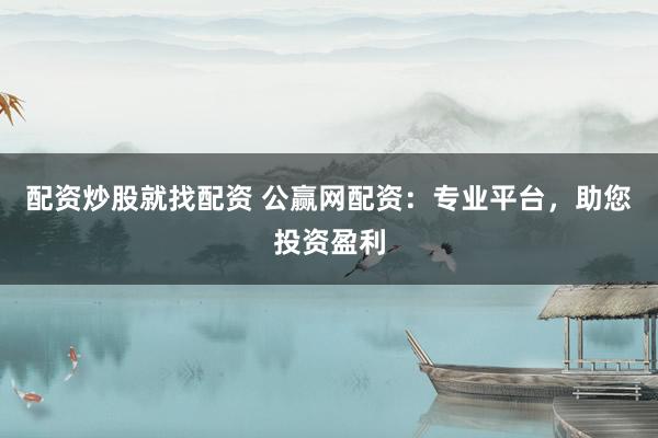 配资炒股就找配资 公赢网配资：专业平台，助您投资盈利