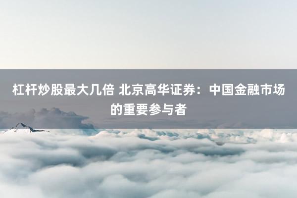 杠杆炒股最大几倍 北京高华证券：中国金融市场的重要参与者