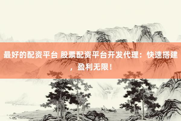 最好的配资平台 股票配资平台开发代理：快速搭建，盈利无限！