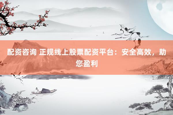 配资咨询 正规线上股票配资平台:安全高效,助您盈利